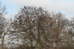 Killikus&reg; Fotographie